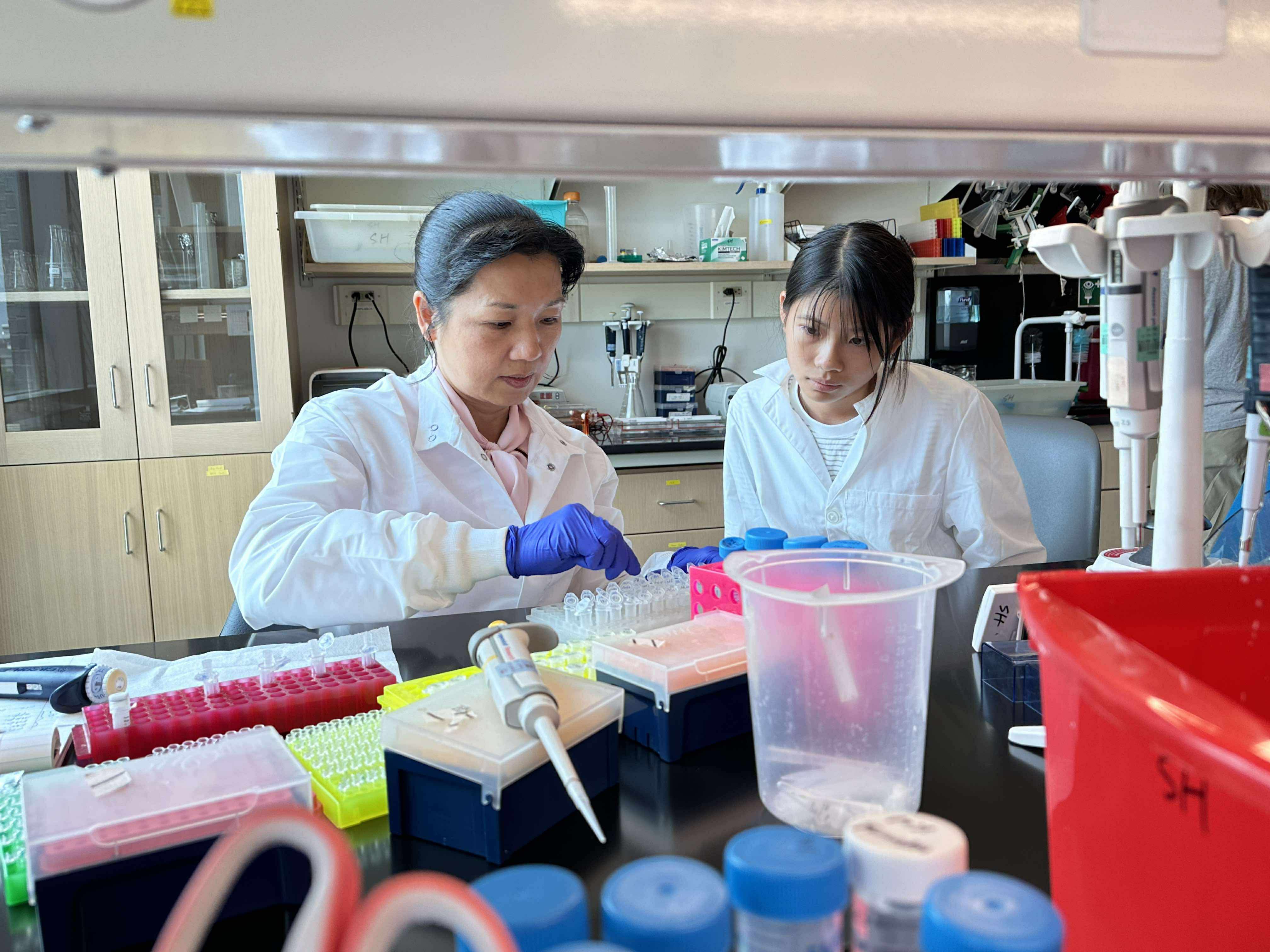 Lab Session